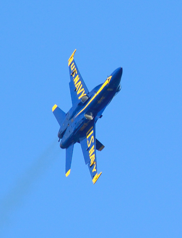 image0165