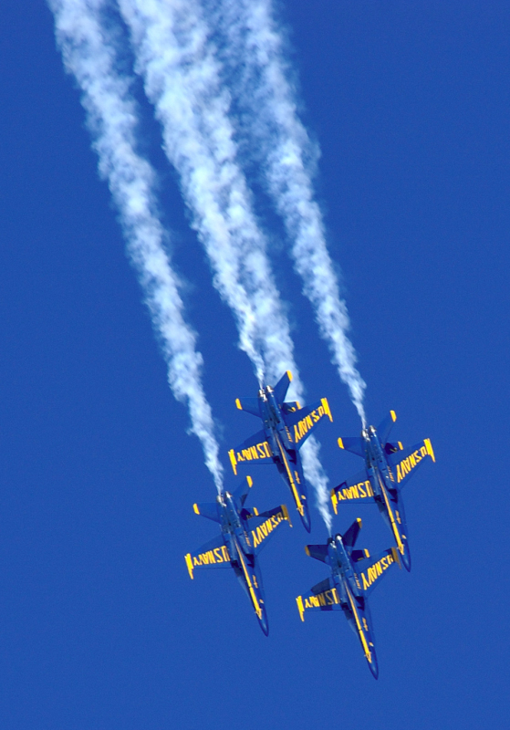 image0184