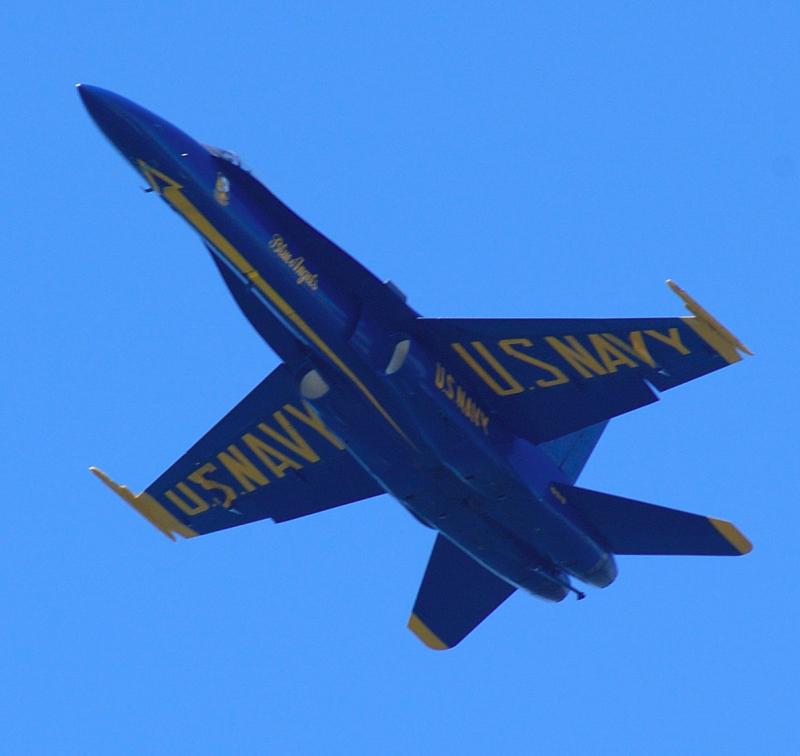 image0198