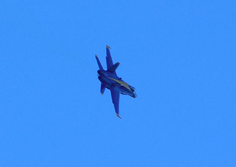 image0202