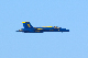 image0137