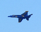 image0138