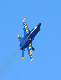 image0165