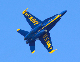 image0166