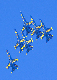 image0193