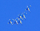 image0194
