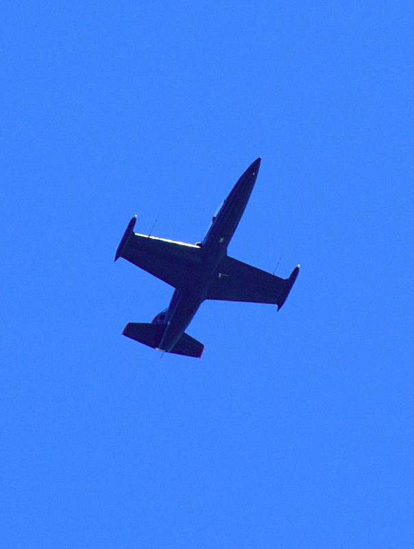 image0184
