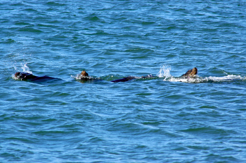 image0210
