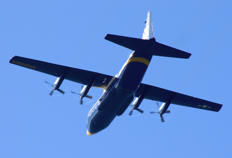 image0220