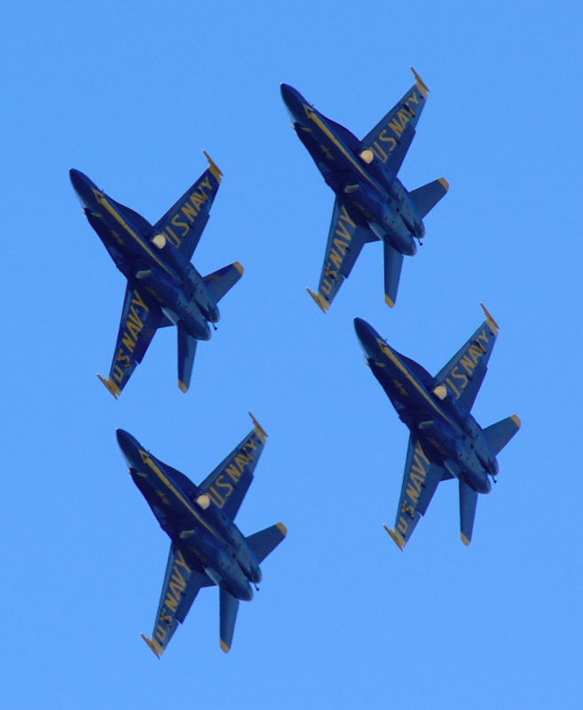 image0229