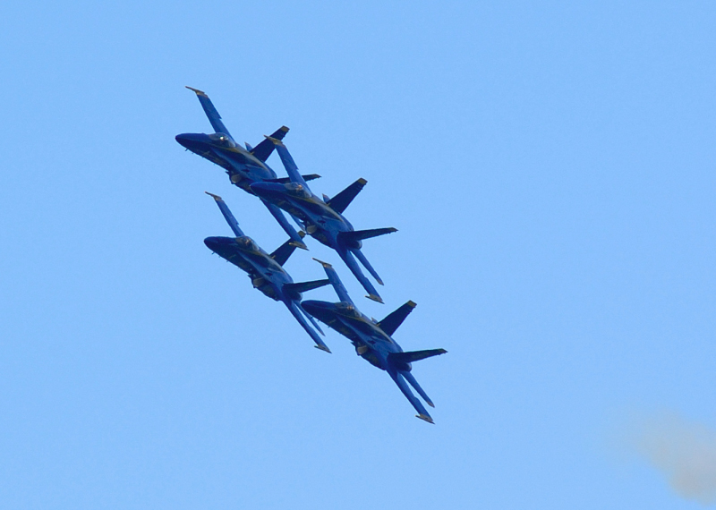 image0239