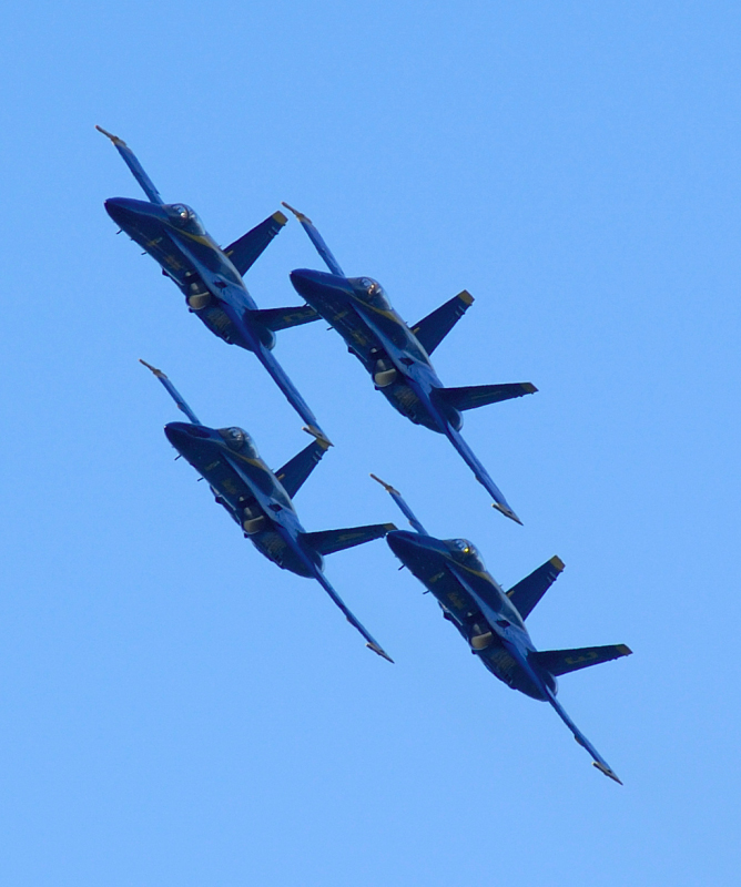 image0240