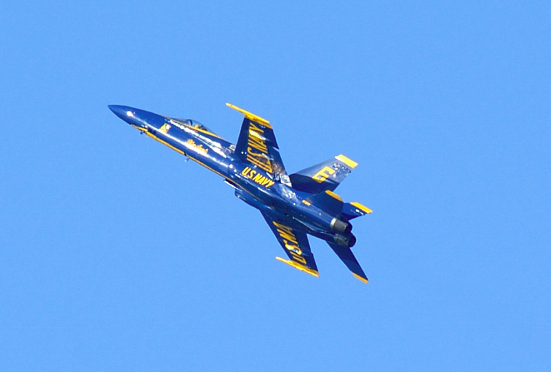 image0247