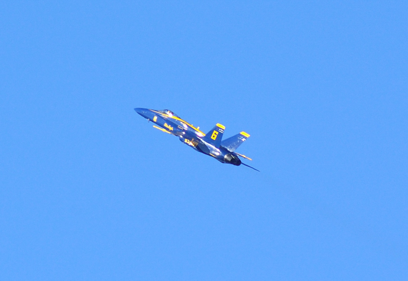 image0248
