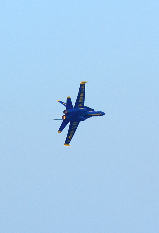 image0288