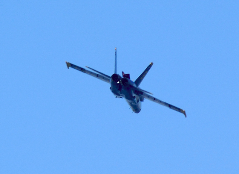 image0290