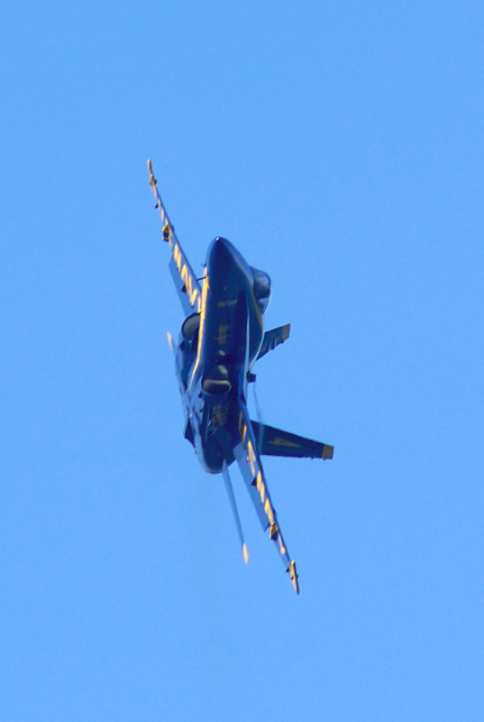 image0349