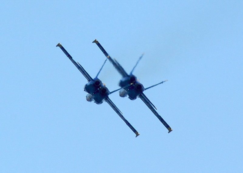 image0369