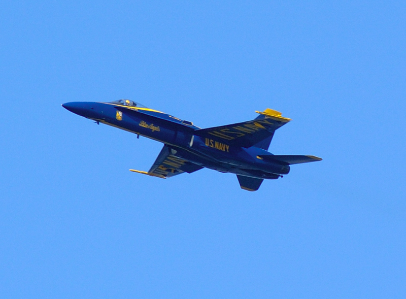 image0375