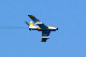 image0138