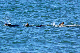image0210