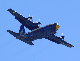 image0212