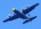 image0219