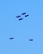 image0227