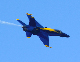 image0235