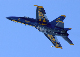 image0238