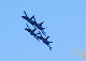 image0239