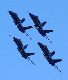 image0241