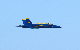 image0244