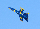 image0246