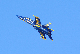 image0247
