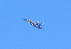 image0248