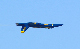 image0260