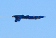 image0261