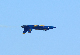 image0262