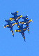 image0284