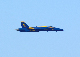 image0286
