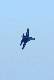 image0288