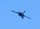 image0290
