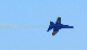 image0297