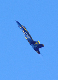 image0303