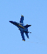 image0336