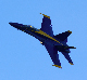 image0344