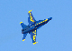 image0352