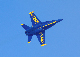 image0353