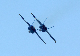 image0369